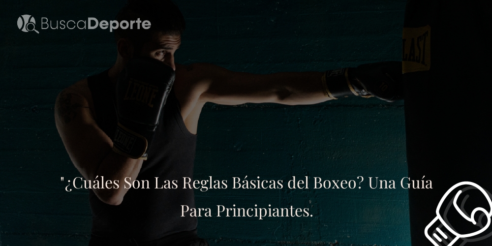 Cu Les Son Las Reglas B Sicas Del Boxeo Una Gu A Para Principiantes