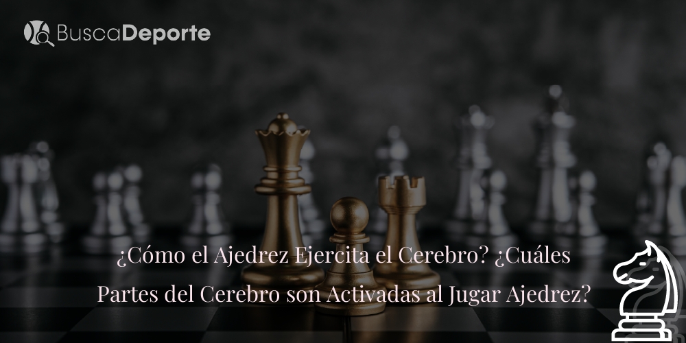 como-el-ajedrez-ejercita-el-cerebro-cuales-partes-del-cerebro-son-activadas-al-jugar-ajedrez_581