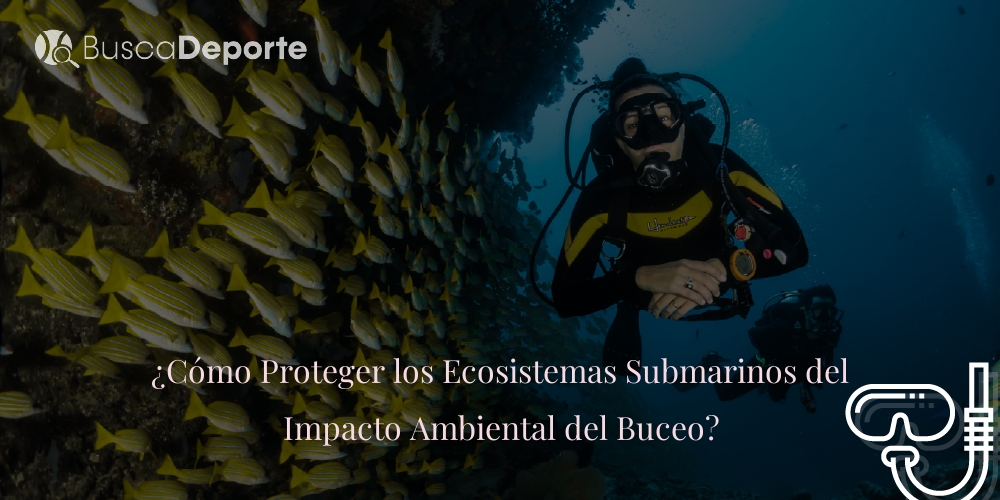 como-proteger-los-ecosistemas-submarinos-del-impacto-ambiental-del-buceo_2555